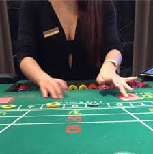 365games Bingo Aur Keno
